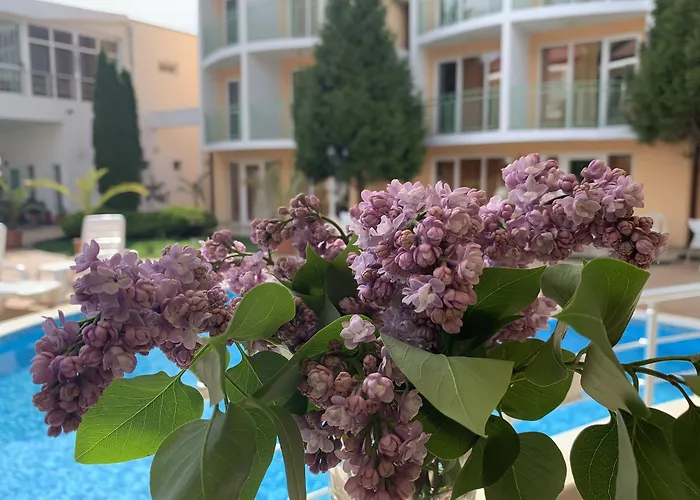 Sun Slantschew brjag