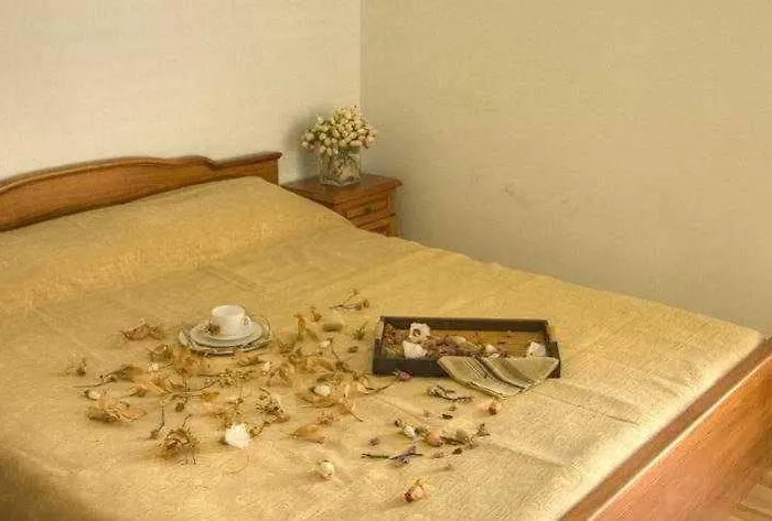 Sun 3* Солнечный берег